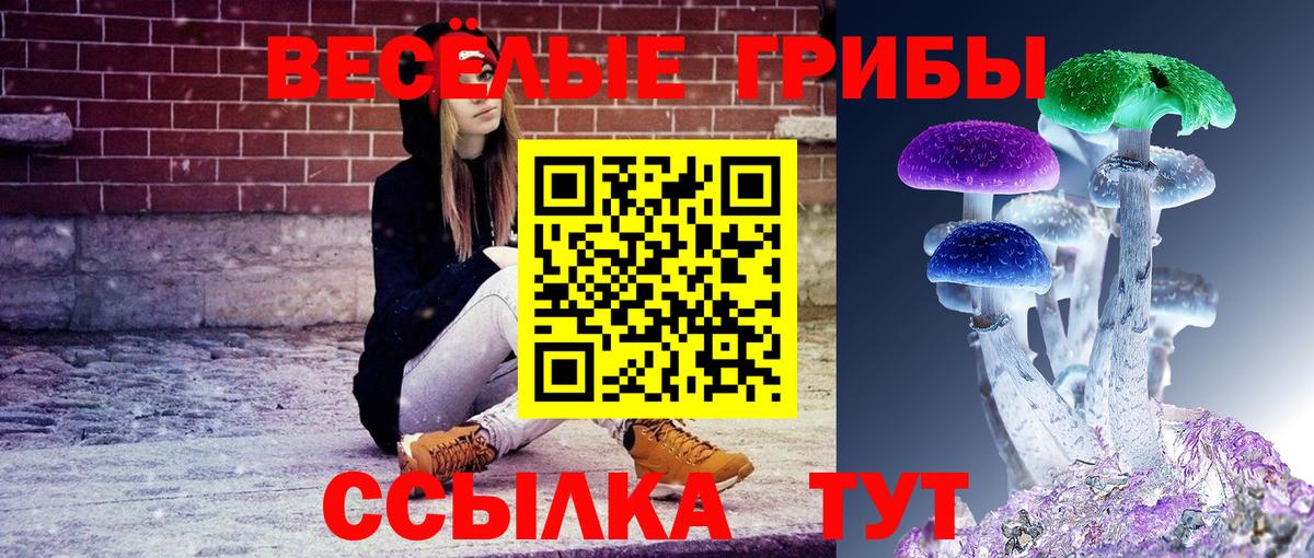 Галлюциногенные грибы Psilocybine cubensis Россошь