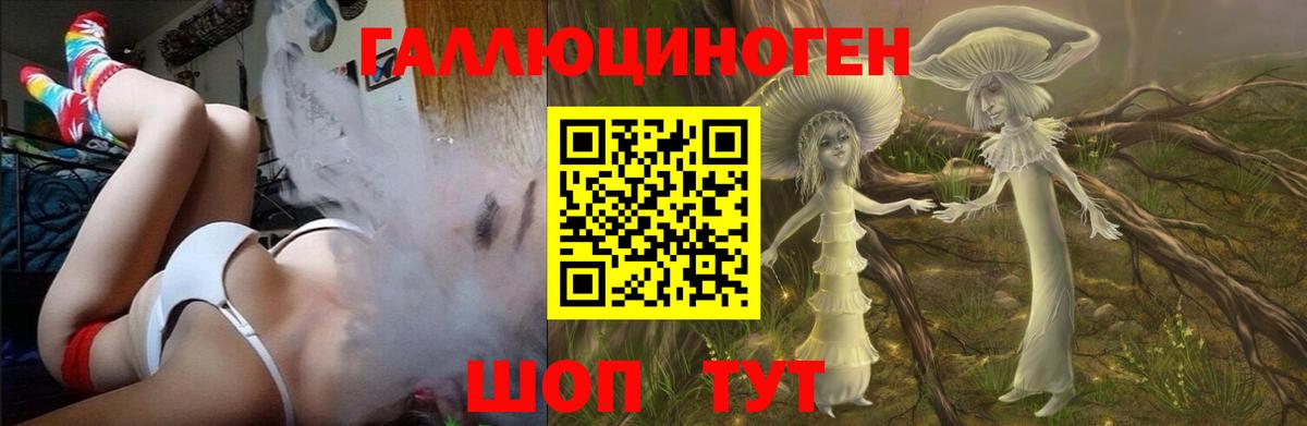 Россошь  Галлюциногенные грибы Magic Shrooms  купить   Вход с VPN 